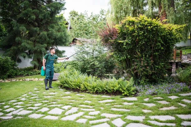 Best Pest Removal Services  in Tempe, AZ
