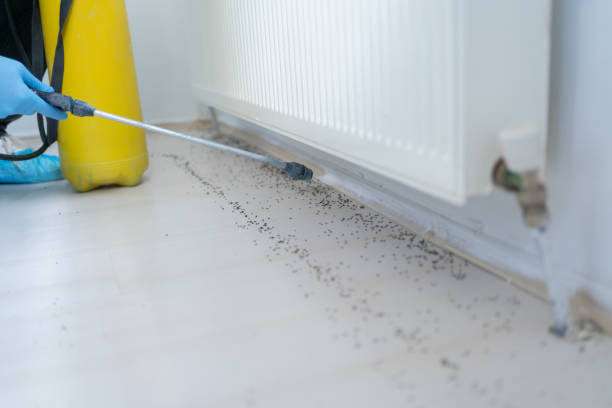 Pest Control Cost in Tempe, AZ